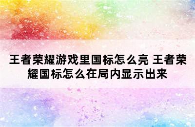 王者荣耀游戏里国标怎么亮 王者荣耀国标怎么在局内显示出来